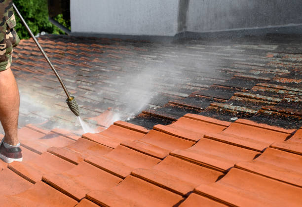 Best Roof Pressure Washing  in Raceland, KY